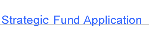 Stategy Fund Application